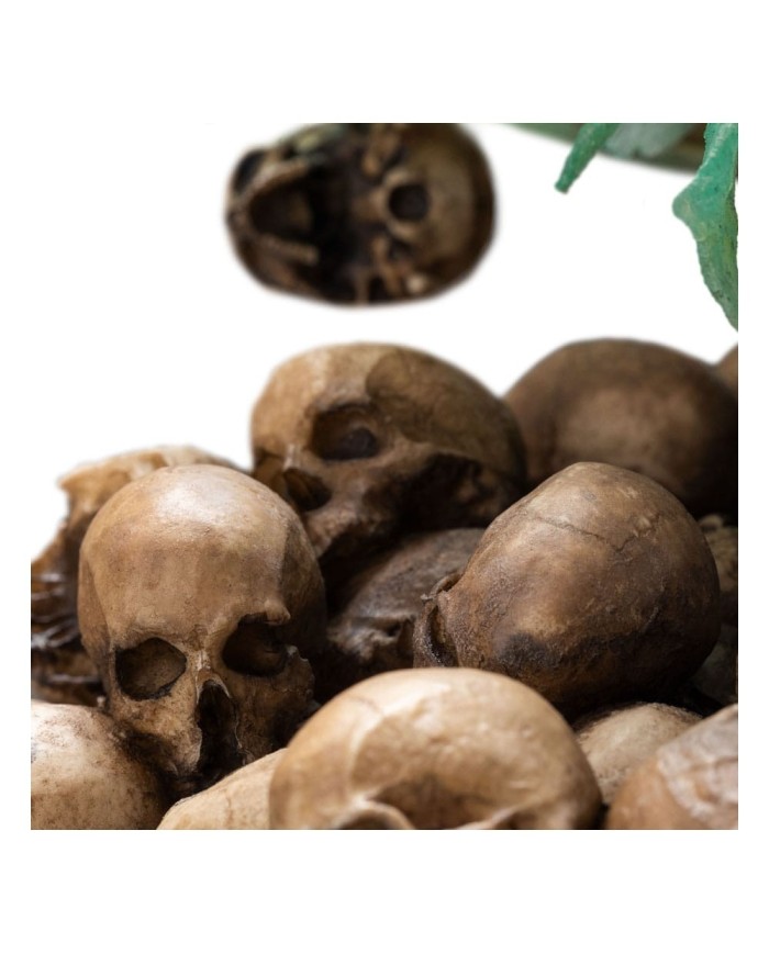 King of the Dead Limited Edition El Señor de los Anillos Estatua