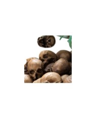 King of the Dead Limited Edition El Señor de los Anillos Estatua