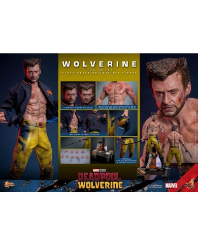 Wolverine (TVA Jacket Version) - Deadpool & Wolverine Movie Masterpiece Figura 1/6
