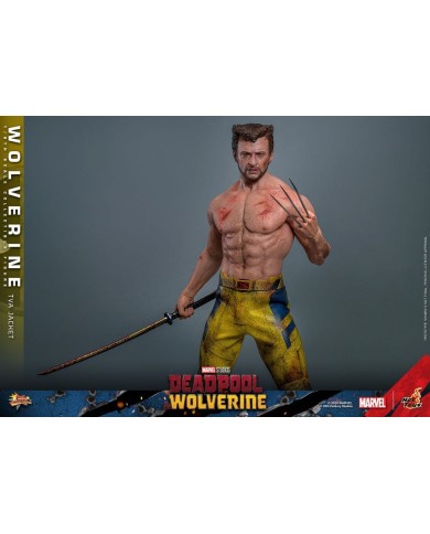 Wolverine (TVA Jacket Version) - Deadpool & Wolverine Movie Masterpiece Figura 1/6