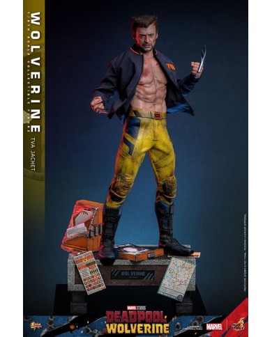 Wolverine (TVA Jacket Version) - Deadpool & Wolverine Movie Masterpiece Figura 1/6