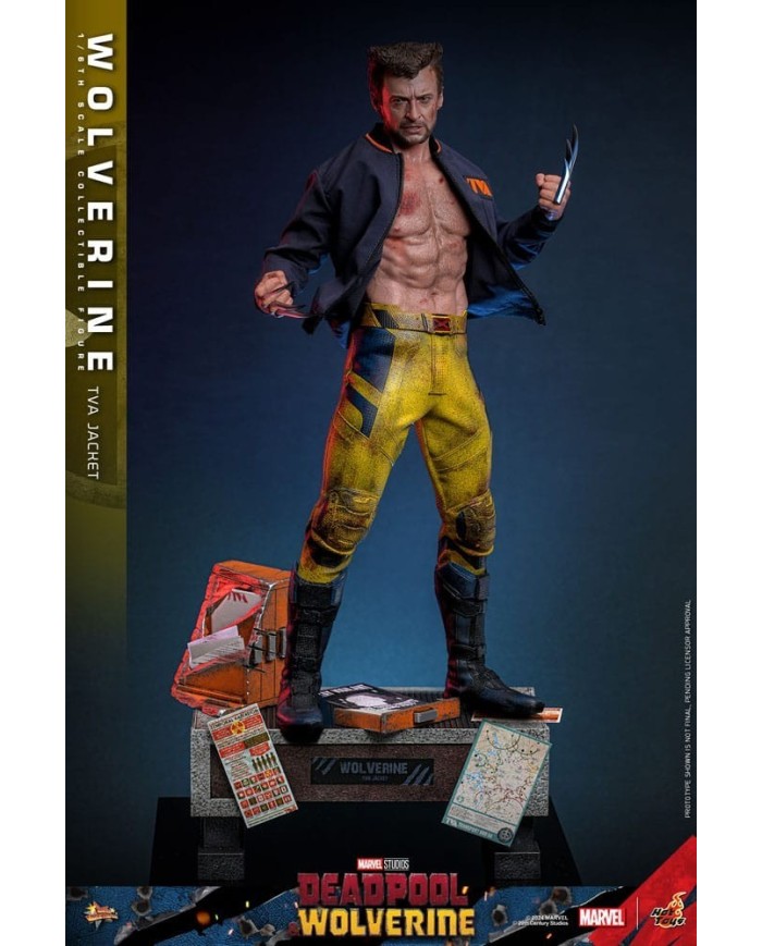Wolverine (TVA Jacket Version) - Deadpool & Wolverine Movie Masterpiece Figura 1/6