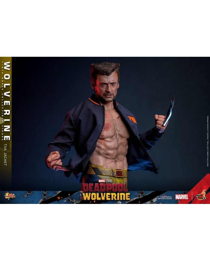 Wolverine (TVA Jacket Version) - Deadpool & Wolverine Movie Masterpiece Figura 1/6