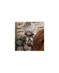 Radagast in Rhosgobel Limited Edition - El Señor de los Anillos Estatua - El Hobbit