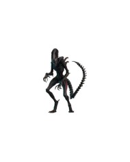 Scorched Xenomorph Alien: Romulus Figura Movie Masterpiece 1/6