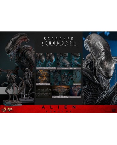 Scorched Xenomorph Alien: Romulus Figura Movie Masterpiece 1/6