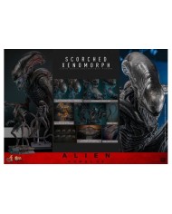 Scorched Xenomorph Alien: Romulus Figura Movie Masterpiece 1/6
