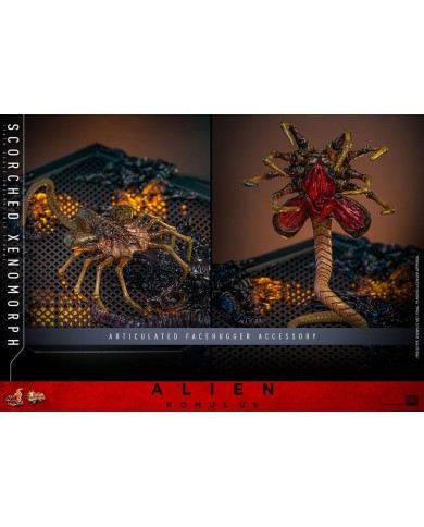 Scorched Xenomorph Alien: Romulus Figura Movie Masterpiece 1/6