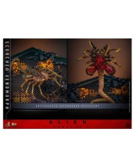 Scorched Xenomorph Alien: Romulus Figura Movie Masterpiece 1/6