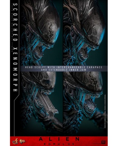 Scorched Xenomorph Alien: Romulus Figura Movie Masterpiece 1/6