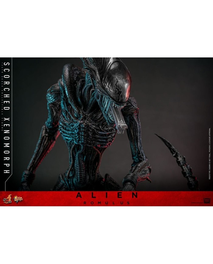 Scorched Xenomorph Alien: Romulus Figura Movie Masterpiece 1/6