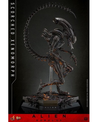 Scorched Xenomorph Alien: Romulus Figura Movie Masterpiece 1/6