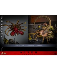 Rain Carradine Alien: Romulus Figura Movie Masterpiece 1/6