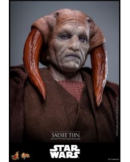 Saesee Tiin Star Wars: Episodio III - La venganza de los Sith Figura Movie Masterpiece 1/6