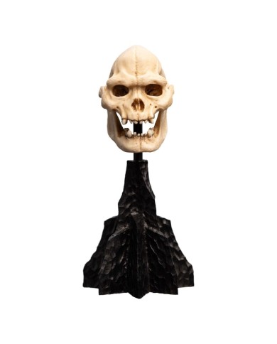 Skull of Lurtz El Señor de los Anillos