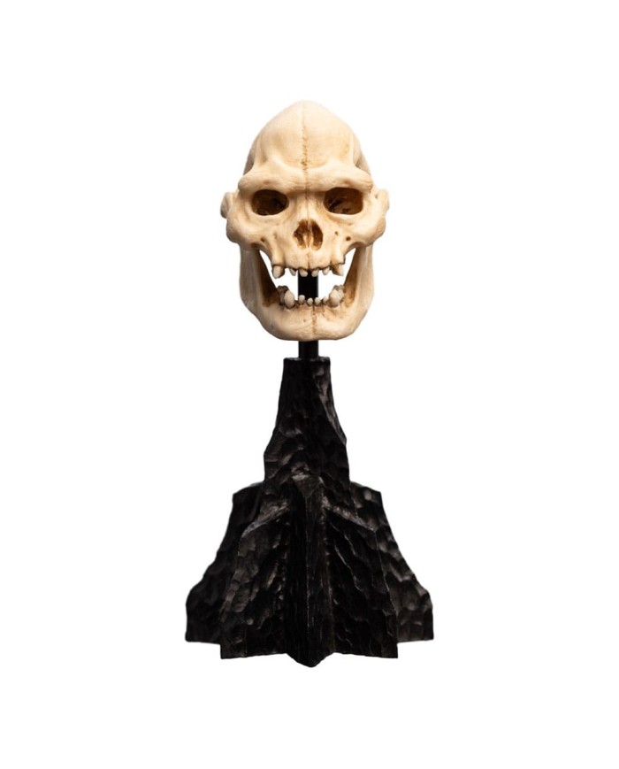 Skull of Lurtz El Señor de los Anillos