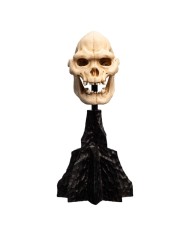 Skull of Lurtz El Señor de los Anillos