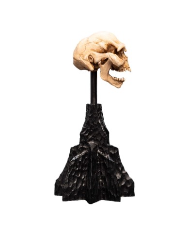 Skull of a Moria Orc El Señor de los Anillos Estatua