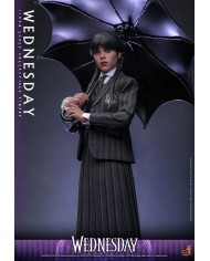 Wednesday - Miércoles Figura 1/6