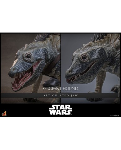 Sergeant Hound Star Wars: The Clone Wars Figura 1/6