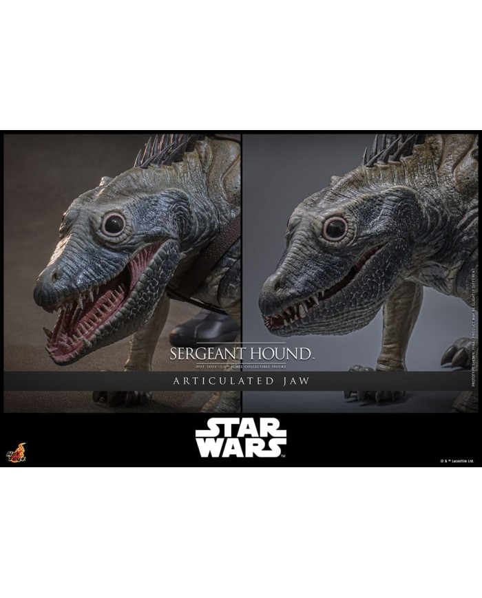 Sergeant Hound Star Wars: The Clone Wars Figura 1/6