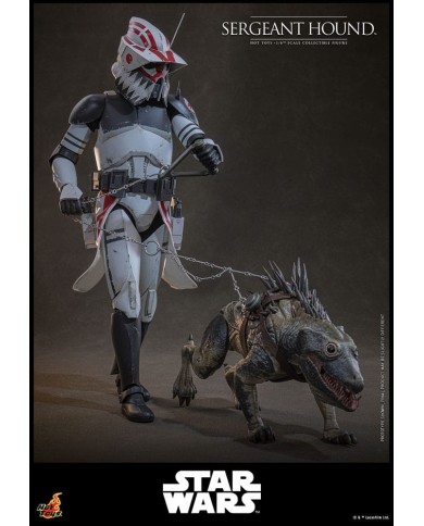 Sergeant Hound Star Wars: The Clone Wars Figura 1/6