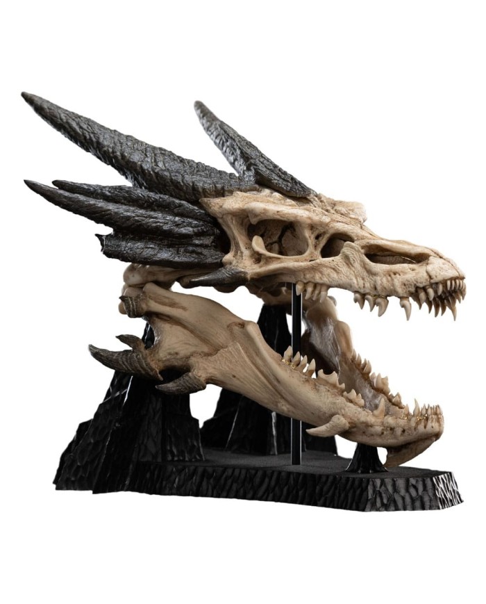 Skull of Smaug - El Señor de los Anillos Estatua