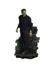Frankenstein (Fabric Costume) - Frankenstein Estatua Premium Format Mixed Media
