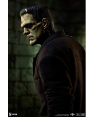 Frankenstein (Fabric Costume) - Frankenstein Estatua Premium Format Mixed Media