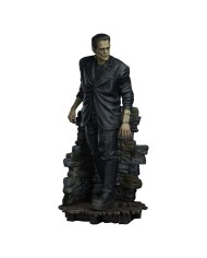 Frankenstein (Fabric Costume) - Frankenstein Estatua Premium Format