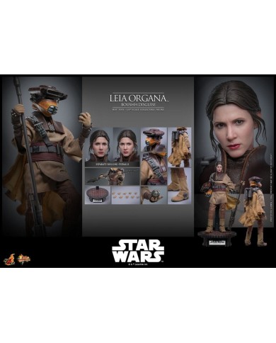 Leia Organa (Boushh Disguise) Star Wars Episode VI Figura Movie Masterpiece 1/6