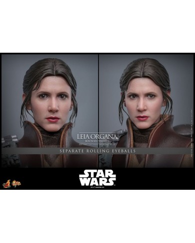Leia Organa (Boushh Disguise) Star Wars Episode VI Figura Movie Masterpiece 1/6
