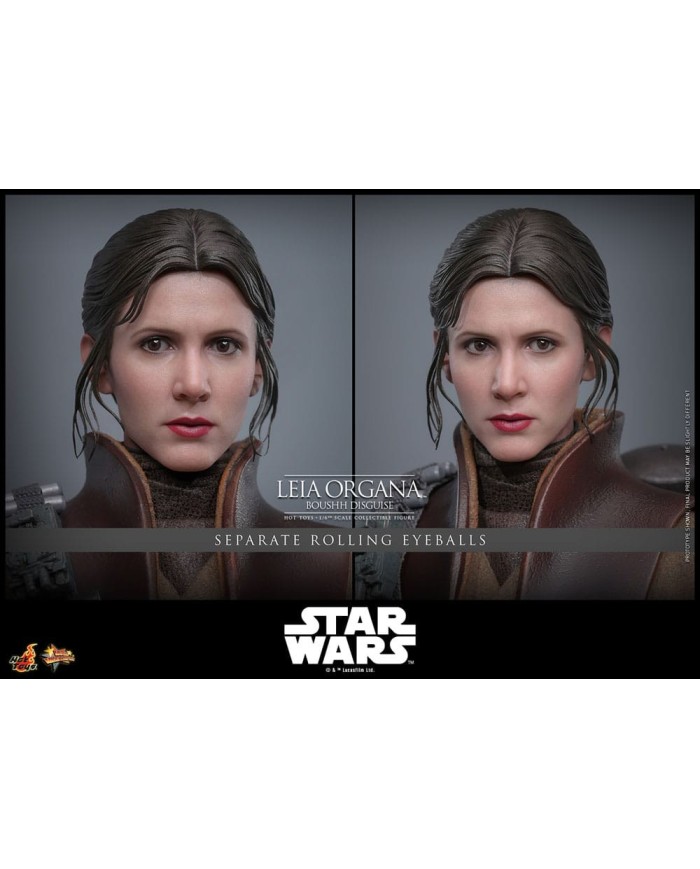 Leia Organa (Boushh Disguise) Star Wars Episode VI Figura Movie Masterpiece 1/6