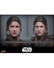 Leia Organa (Boushh Disguise) Star Wars Episode VI Figura Movie Masterpiece 1/6