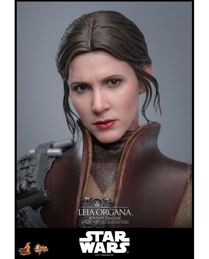 Leia Organa (Boushh Disguise) Star Wars Episode VI Figura Movie Masterpiece 1/6