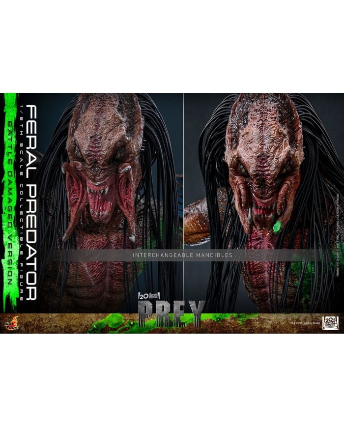 Feral Predator (Battle Damaged Version) - Prey Figura 1/6