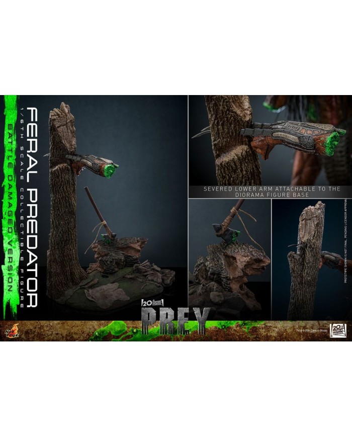 Feral Predator (Battle Damaged Version) - Prey Figura 1/6