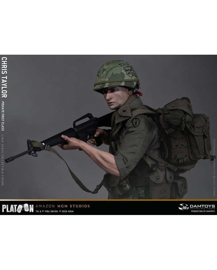 Chris Taylor Platoon Figura 1/6