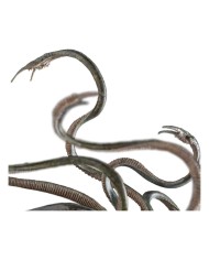 Watcher in the Water El Señor de los Anillos Estatua