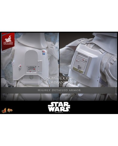Snowtrooper Commander Hot Toys Exclusive Star Wars V Action Figure 1/6