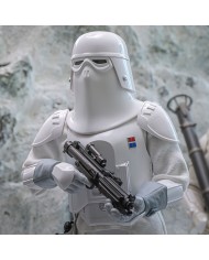 Snowtrooper Commander Hot Toys Exclusive Star Wars V Action Figure 1/6