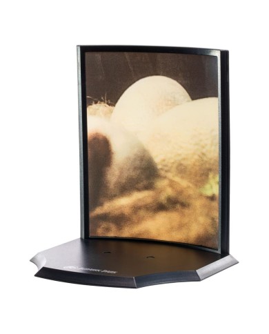 Jurassic Park Estatua Toyllectible Treasure Raptor Egg Life Finds A Way