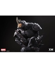 Rhino Bust