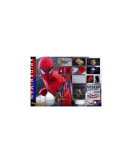 Spider-Man: Homecoming Figura Quarter Scale Series 1/4