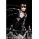 Catwoman - Rebirth