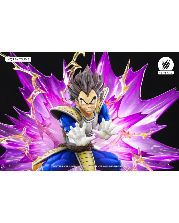 Dragon Ball Z Vegeta Galick Gun By Tsume