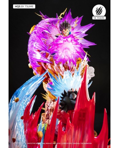 Dragon Ball Z Vegeta Galick Gun By Tsume