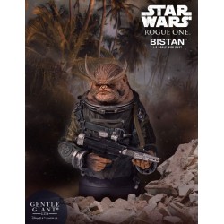 Star Wars Rogue One Busto 1/6 Bistan