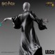 Voldemort - Harry Potter Estatua BDS Art Scale 1/10