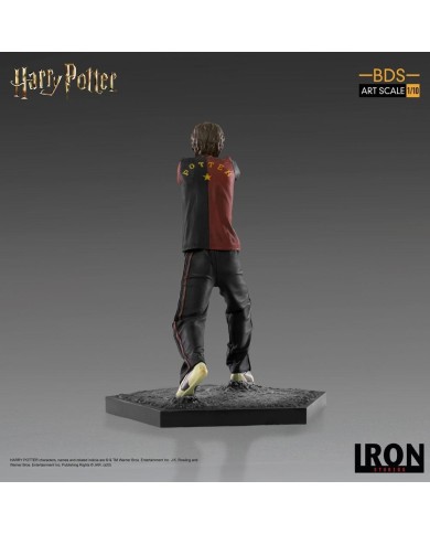 Harry Potter Estatua BDS Art Scale 1/10